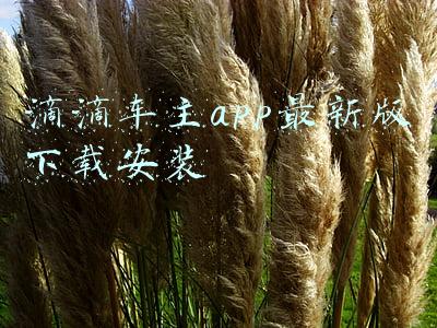 滴滴打车app最新版下载安装(滴滴APP无法下载，每天订单量还在持续增加，为什么？)