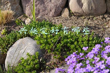兴趣爱好有哪些面试自我介绍(面试被问兴趣爱好，到底要如何回答？)