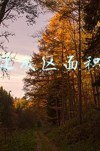 建成区面积是什么意思(交出厚重提气的时代答卷！写在枣庄市第十二次党代会开幕之际)