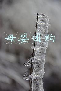 母婴团购平台有哪些(618大促，哪个平台剁手母婴用品最划算？七大电商平台测评来了)
