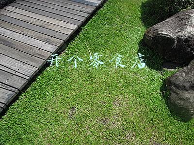开个零食店