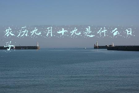 农历九月十九是什么日子