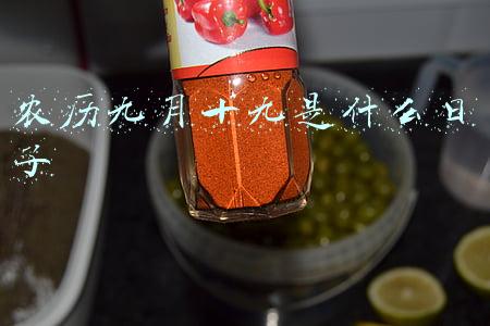 农历九月十九是什么日子