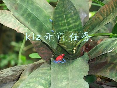 klz开门任务全部流程(魔兽世界：TBC卡拉赞开门详细流程，68级去接，满级直接进本)