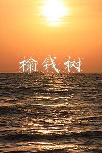 榆钱树的风水作用(门前种对树，家庭旺三代，家门前种5种树，寓意好，还能旺宅)