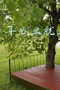中国青年创业就业基金会