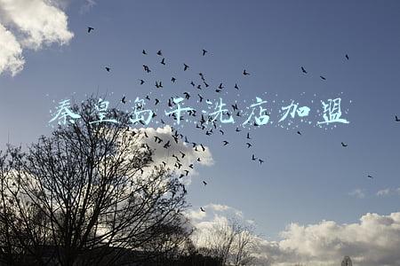 秦皇岛干洗店加盟