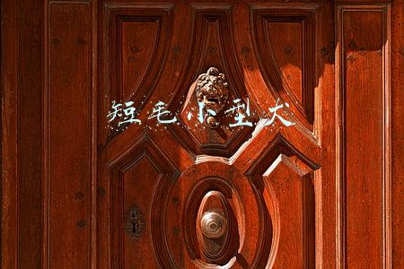 短毛小型犬