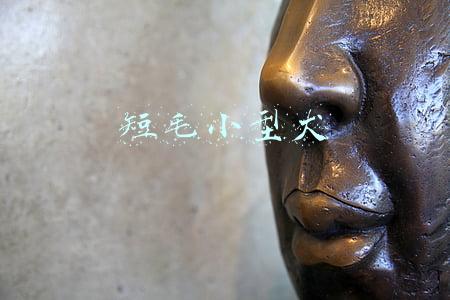 短毛小型犬