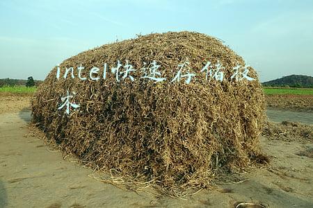 intel快速存储技术