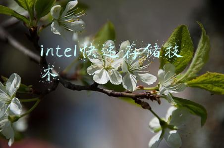 intel快速存储技术