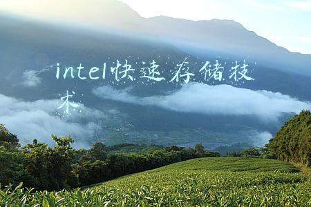 intel快速存储技术下载(元宇宙2021：寻找有价值的量变 | 氪记)