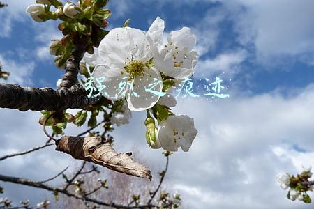 强烈之痕迹在哪里获得(DNF：10.7韩服正式服爆料，徽章系统改版，堇青石可兑换浓缩)