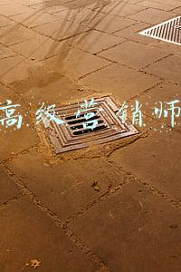 高级营销师资格证属于什么职称(2021年二手车营销师怎么考如何报名什么流程详细咨询第一指南)