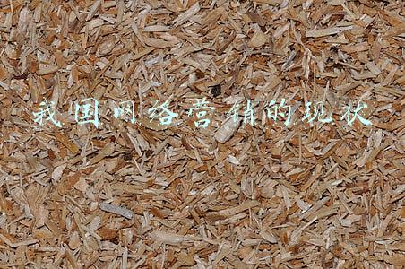 我国网络营销的现状与发展趋势研究赵丽霞(第一书记赵丽霞：扑下身子扶 手拉着手帮)