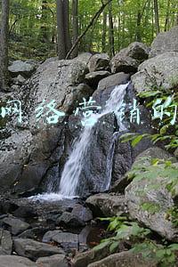 我国网络营销发展趋势(网络营销的发展趋势)