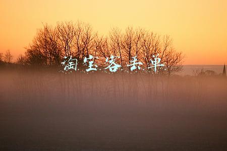 淘宝订单丢失(快递遗失淘宝补偿？女子差点陷入骗局)