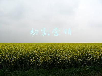 路长全切割营销(盘点四大营销天王：叶茂中 华杉、路长全、邓德隆)