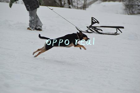 oppo real