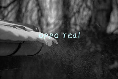 oppo real 5 pro(人像视频手机究竟是什么噱头？实测OPPO Reno5 Pro)