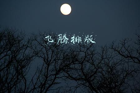 方正飞腾排版(常用的印刷文件格式)