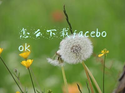 怎么下载facebook
