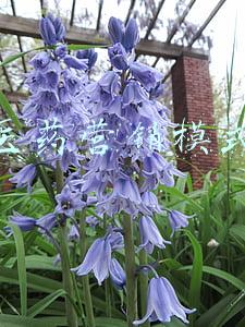 医药营销模式