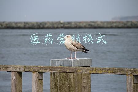 医药销售模式有哪些(在经济不景气的背景下，凭借诊所十药店经营模式，营业额狂涨)