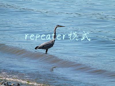 repeater模式怎么设置(理解中继原理并应用，避开设置中继模式的雷区)