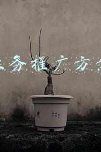 推广方案(最清晰全面的运营推广方案撰写方法)