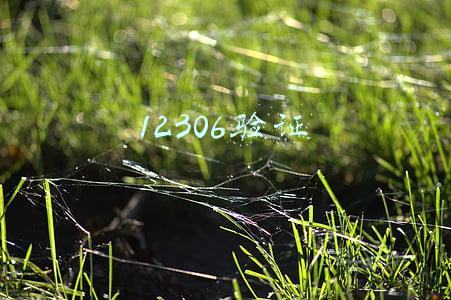12306验证手机总是核对失败(最全解答！12306上购票不成功？无法帮别人买票？手把手教你操作)