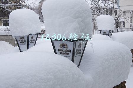 12306验证