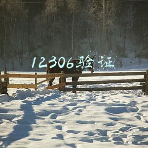 12306验证