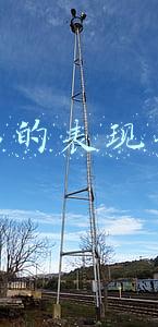 信息的表现形式
