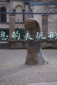 信息的表现形式