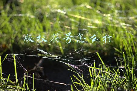 版权符号怎么打