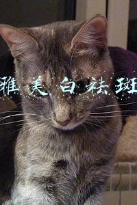 欧莱雅美白祛斑套装
