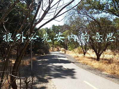 攘外必先安内的意思