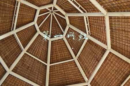 跟大人物结婚后我成了星际第一网红(5本纯爱星际文，脑洞大开，专注撒糖，爱在遥远星际~)