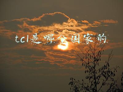 tcl是哪个国家的公司(TCL创始人、董事长李东生：三大核心产业要全球领先)