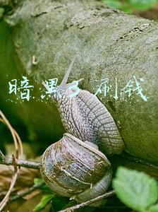 暗黑3 刷钱bd(暗黑破坏神3如何刷钱？暗黑破坏神3怎么刷金币？)
