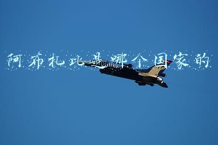 阿布扎比是哪个国家的港口(共建“一带一路”项目典范：阿联酋阿布扎比码头迎全球最大集装箱船)