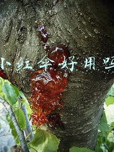 小蓝伞和小红伞(睡前，换个次元)