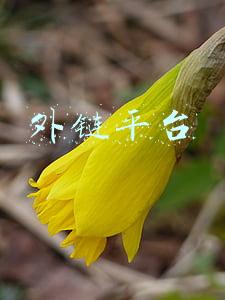 外链平台代理(手游联运平台怎么通过外链提高知名度)