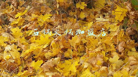 四川石锅鱼火锅加盟(石锅苗苗鱼连锁店加盟，限时招募合作伙伴)