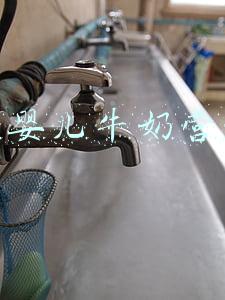 强生婴儿牛奶营养霜瓶装和袋装有什么区别(舍本逐末？有时候最平常的护肤品用出不平常的效果)