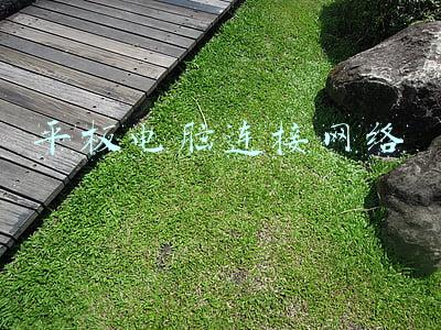 平板电脑怎么连接网络(能接打电话，搭载国产处理器的4G千元平板电脑：台电T40 Pro评测)