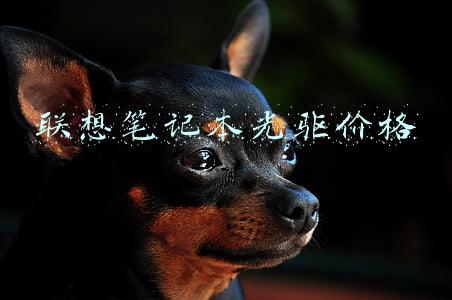 联想笔记本光驱价格