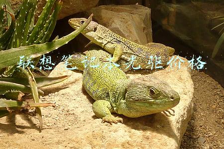 联想笔记本光驱价格