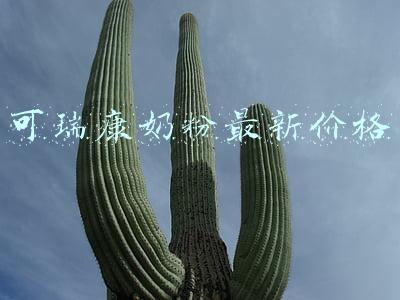 可瑞康豆奶粉(你想要的好奶粉，国外三大奶粉品牌，如何选择，妈妈们选对了吗)